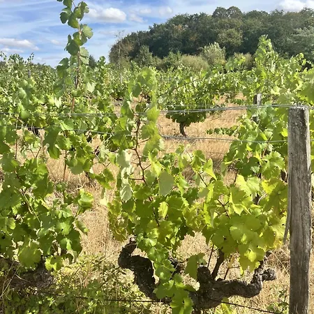 Le Grand Clos Holiday home